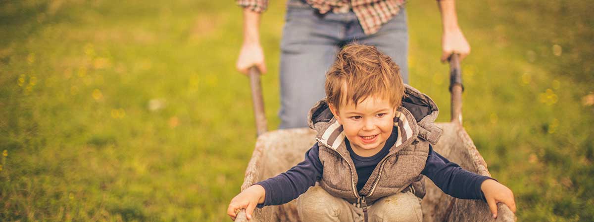 Boy pushed in wheelbarrow