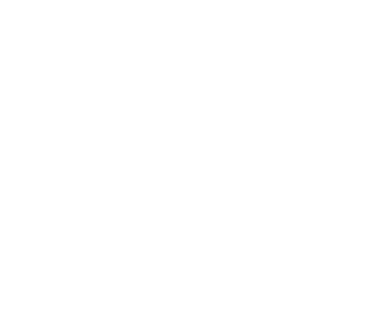 Silverdale and Port Orchard audiologist reverse logo Nilsson Audiology